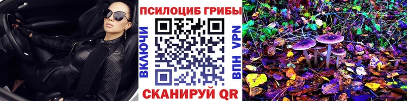 Купить закладки  Горно-Алтайск  Псилоцибиновые грибы Cubensis 